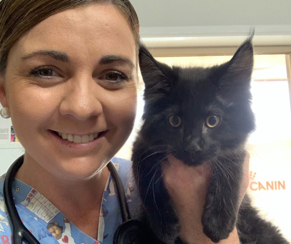 Moranbah Vet Clinic - Dr Kate with kitten patient