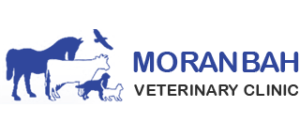 Moranbah Vet Clinic Logo