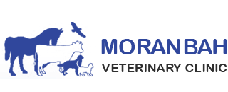 Moranbah Vet Clinic Logo